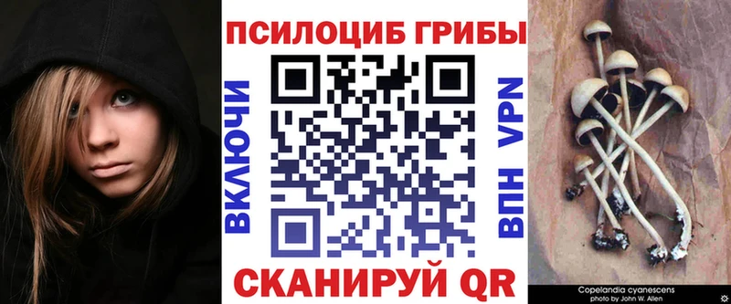 Псилоцибиновые грибы мухоморы  Володарск 